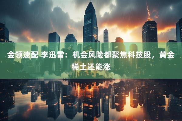 金领速配 李迅雷:机会风险都聚焦科技股,黄金稀土还能涨
