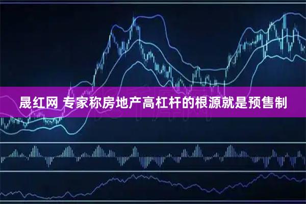 晟红网 专家称房地产高杠杆的根源就是预售制