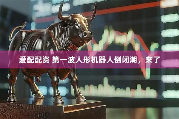 爱配配资 第一波人形机器人倒闭潮，来了