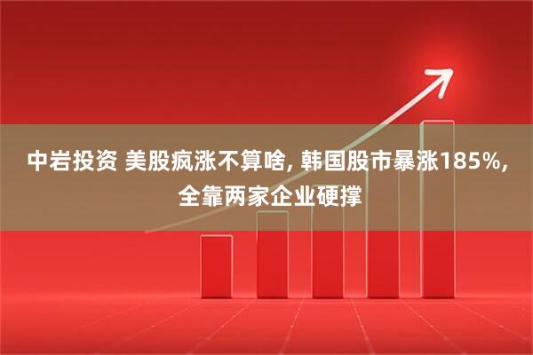 中岩投资 美股疯涨不算啥, 韩国股市暴涨185%, 全靠两家企业硬撑